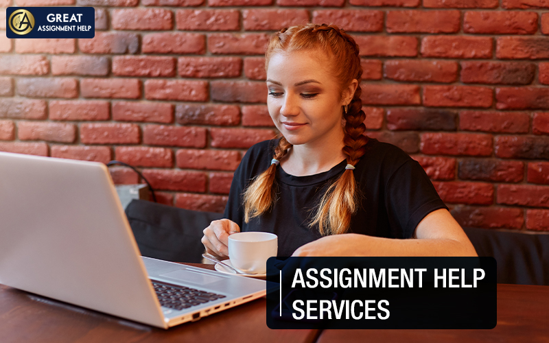 Assignment Help