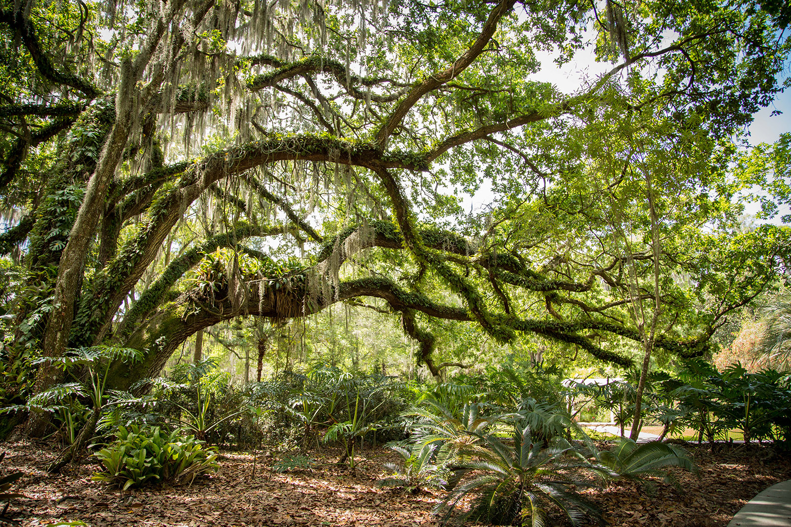 hiking trail