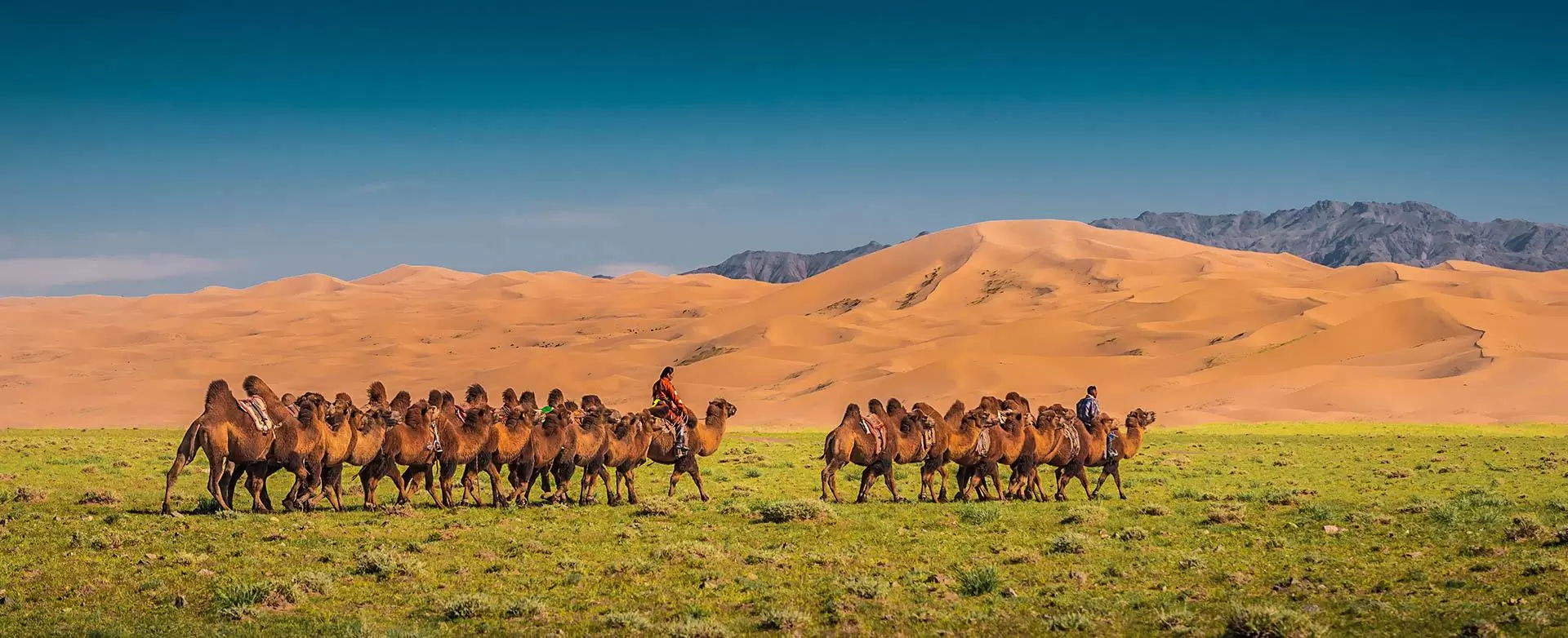 Things to See in Mongolia