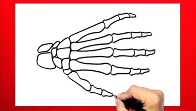 Skeleton Hand Drawing
