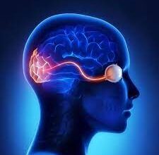 Neuro Ophthalmology: What Procedures does it Include?