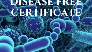 disease free certificate