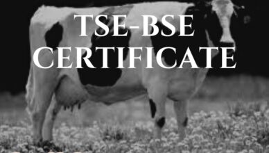 tse-bse certificate