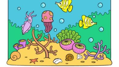 Cartoon Ocean Drawing