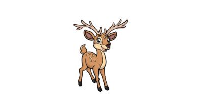Cartoon Deer Drawing