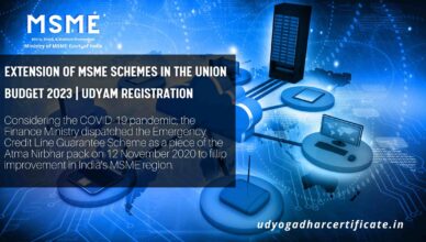 MSME Schemes in the Union Budget Udyam Registration