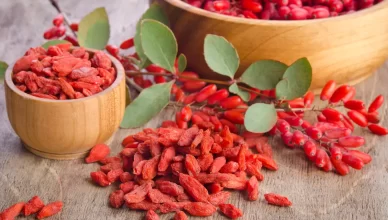 Find Out What Goji Berry Can Do For Your Health