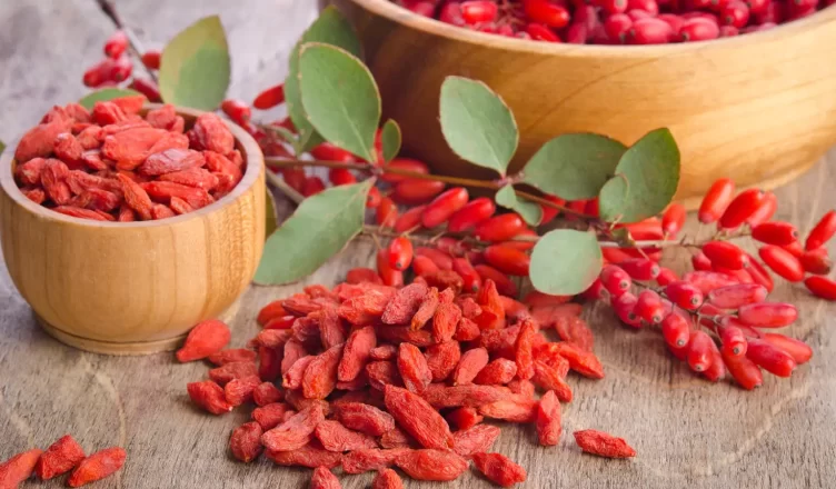 Find Out What Goji Berry Can Do For Your Health
