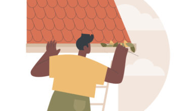 How To Choose The Best Roof Cleaning Service