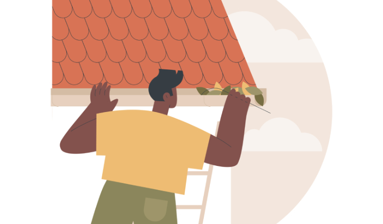 How To Choose The Best Roof Cleaning Service