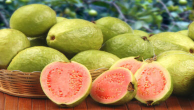 The guava fruit has several health benefits