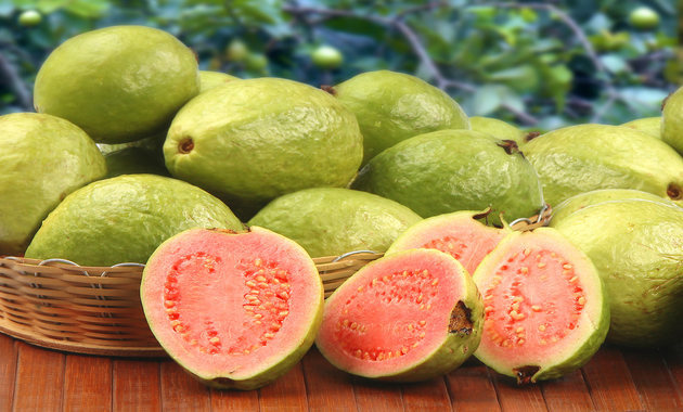 The guava fruit has several health benefits